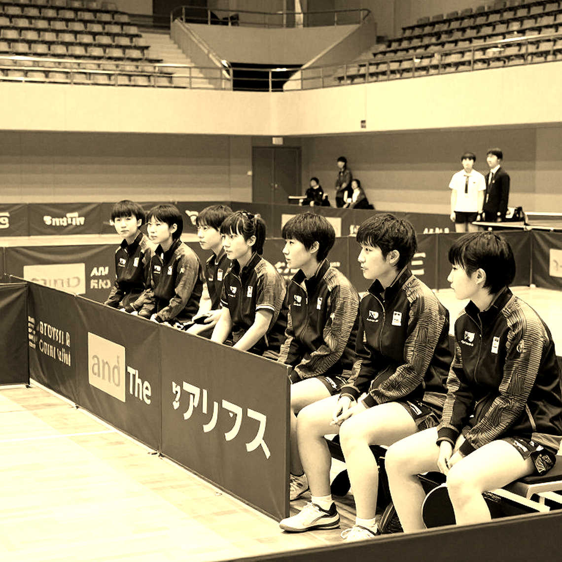 The Table Tennis Report That Returned Zero: When a Complete Framework Hides a Data Failure