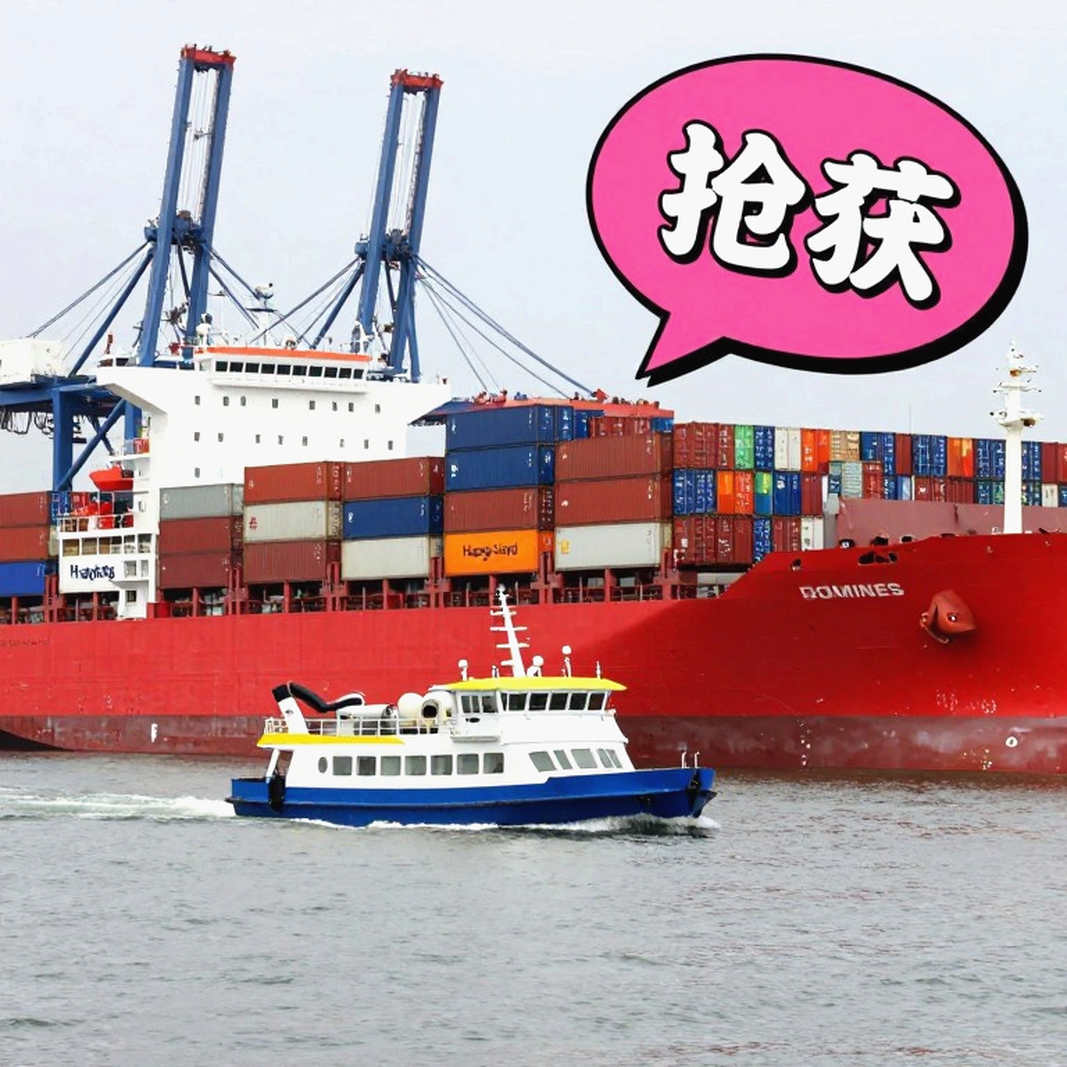 Bản đồ dữ liệu cầu lông 2026: Điều bảng xếp hạng không nói về khoảng cách đỉnh cao